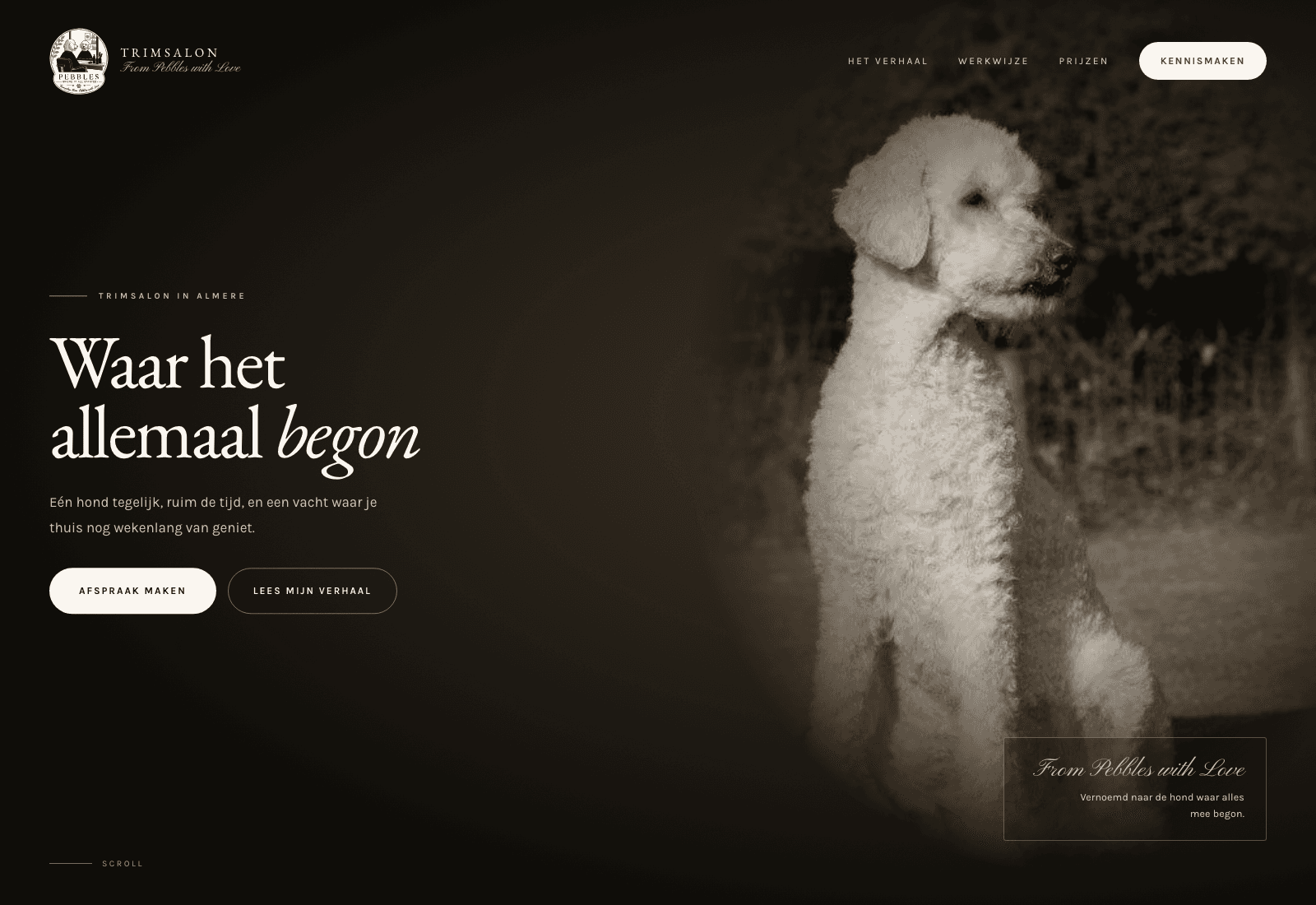 From Pebbles with Love: website voor een hondentrimsalon in Almere
